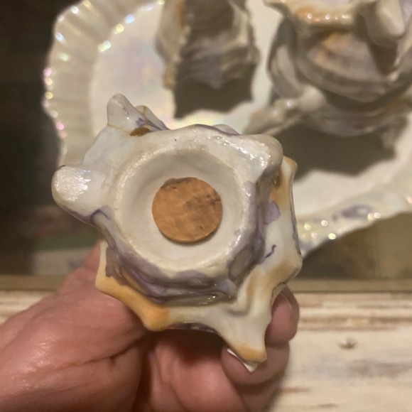 Elegant Iridescent Shell Dish Set - Picture 9 of 16